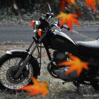 黒いバイク(YAMAHA SR125)が草地に停まっており、前景には赤く色づいたモミジの葉が数枚、ぼかしを効かせて写っている。背景とバイクは落ち着いた色合いで、モミジの赤が強調されている。