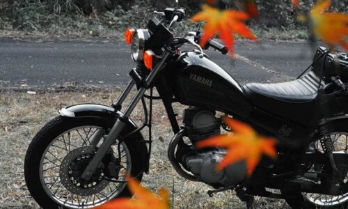黒いバイク(YAMAHA SR125)が草地に停まっており、前景には赤く色づいたモミジの葉が数枚、ぼかしを効かせて写っている。背景とバイクは落ち着いた色合いで、モミジの赤が強調されている。
