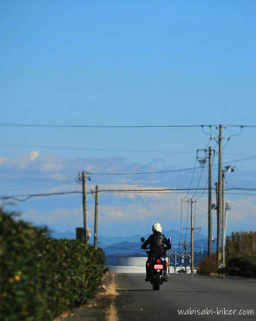 茶畑を走るバイク乗り