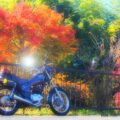 11月の風景とバイク写真☆YAMAHA SR125