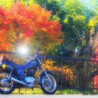 カラフルな紅葉とオートバイ YAMAHA SR125