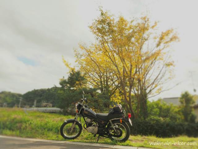 イチョウの黄葉とオートバイ YAMAHA SR125