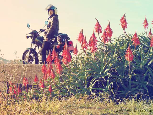 アロエの花と女性バイク乗り