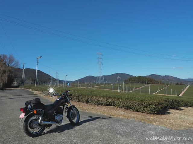 冬の茶畑とオートバイ YAMAHA SR125