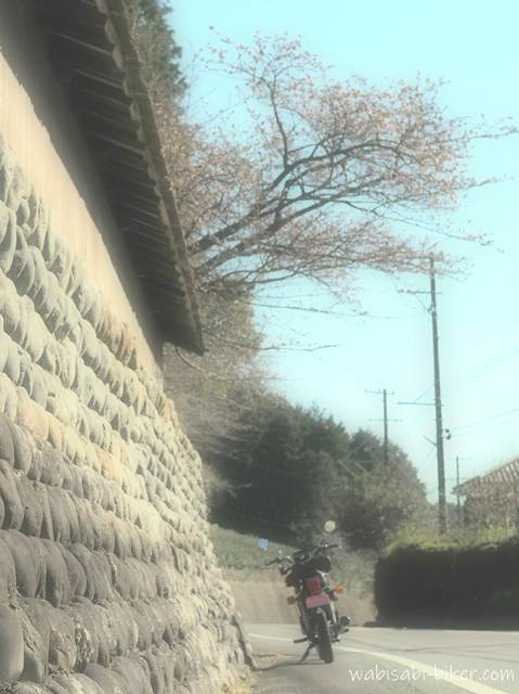 梅とバイクのある風景