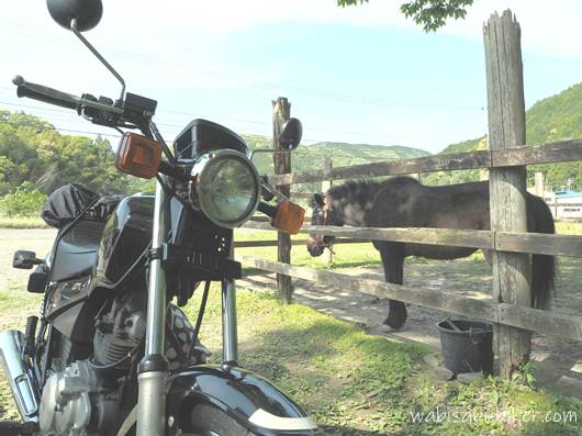 バイクとポニー 掛川　しばちゃんランチマーケット