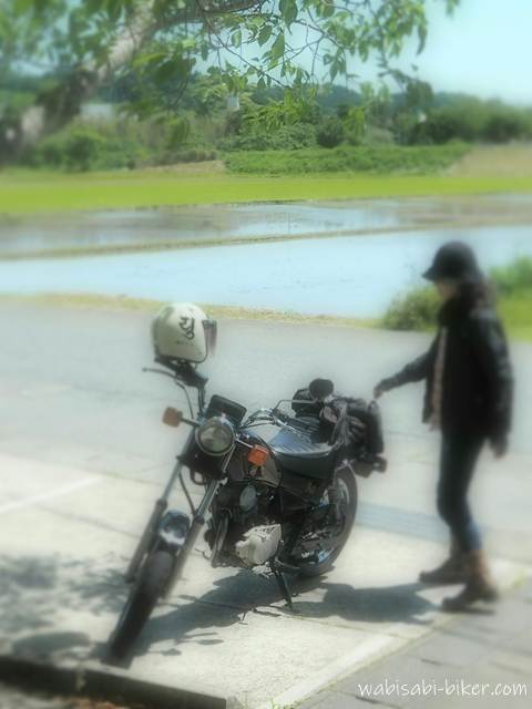 水だけの田んぼを背景に、自分のバイクSR125と共に立つライダーのセルフポートレート。頭上には桜の木が枝を伸ばす初夏の風景