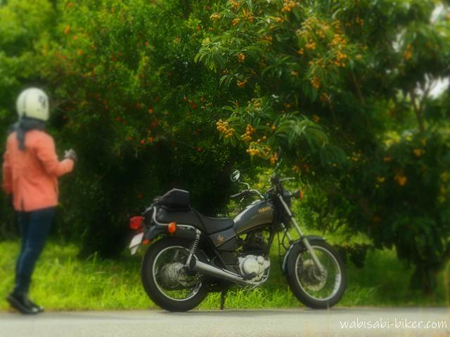 ビワの実と微かにザクロの花が写る木の前に停めたYAMAHA SR125。画面左にピンク色のジャケット姿のバイク乗り（セルフ撮影）が立っている。初夏の記録ショット