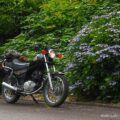 バイクに乗った日の服装メモ｜2025年6月中旬・アジサイ見納めの頃