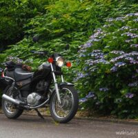 路肩に咲くガクアジサイと黒いYAMAHA SR125のバイク。 花はすでに終盤で色褪せているが、緑の中に淡い紫がわずかに残っている。 バイクは引き構図で静かに佇み、季節の終わりを見届けているような一枚