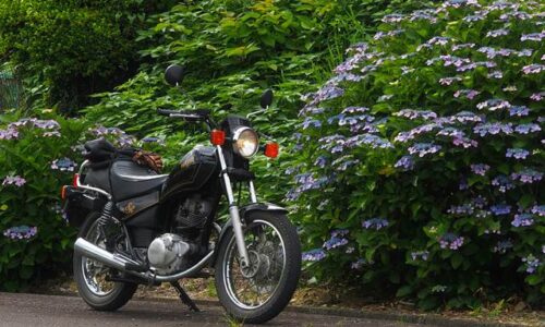 路肩に咲くガクアジサイと黒いYAMAHA SR125のバイク。 花はすでに終盤で色褪せているが、緑の中に淡い紫がわずかに残っている。 バイクは引き構図で静かに佇み、季節の終わりを見届けているような一枚