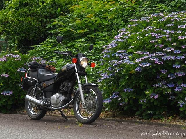 路肩に咲くガクアジサイと黒いYAMAHA SR125のバイク。
花はすでに終盤で色褪せているが、緑の中に淡い紫がわずかに残っている。
バイクは引き構図で静かに佇み、季節の終わりを見届けているような一枚