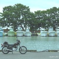 松並木を背に白い漁船が等間隔に並ぶ船溜まり。その手前、係留岸壁に黒いバイク(YAMAHA SR125)が停まり、後輪付近には係留用のロープが伸びている。船の間には一服中の男性が小さく写り、港の日常が垣間見える