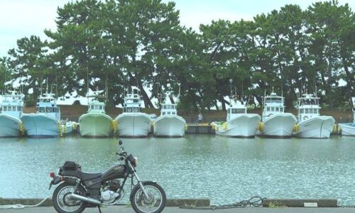 松並木を背に白い漁船が等間隔に並ぶ船溜まり。その手前、係留岸壁に黒いバイク(YAMAHA SR125)が停まり、後輪付近には係留用のロープが伸びている。船の間には一服中の男性が小さく写り、港の日常が垣間見える
