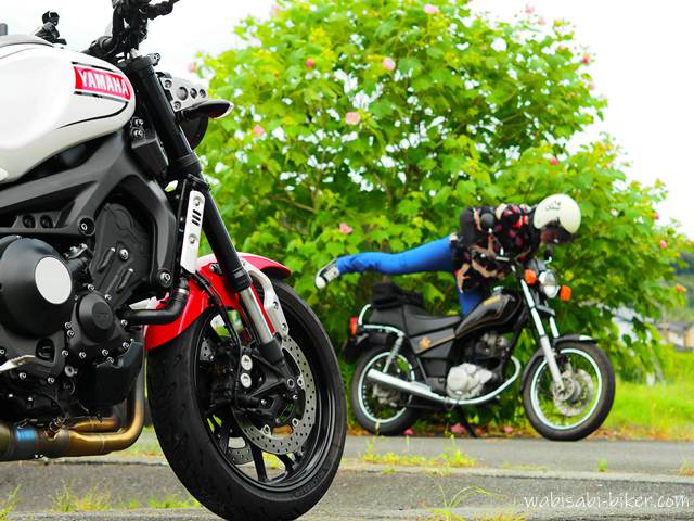 手前には赤いフロントフェンダーが特徴のバイク(XSR900)が大きく写り、奥には黒いバイク(YAMAHA SR125)に跨ろうとしている人物がぼかされて写っている。背景には薄ピンクの花が咲く芙蓉の葉が茂っている