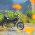 バイクに乗った日の服装メモ｜2025年10月初旬・キバナコスモスの咲く頃