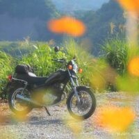 前景にオレンジ色のキバナコスモスがぼけて映り、奥には黒いバイク(YAMAHA SR125)が停められている。背後は山と草木の緑に包まれ、秋の陽光が柔らかく差し込む。静かな午後を感じさせる風景。