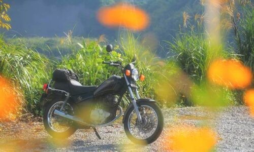 前景にオレンジ色のキバナコスモスがぼけて映り、奥には黒いバイク(YAMAHA SR125)が停められている。背後は山と草木の緑に包まれ、秋の陽光が柔らかく差し込む。静かな午後を感じさせる風景。