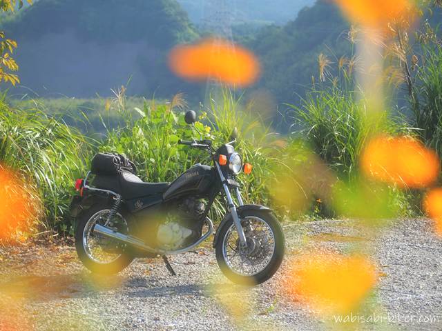 前景にオレンジ色のキバナコスモスがぼけて映り、奥には黒いバイク(YAMAHA SR125)が停められている。背後は山と草木の緑に包まれ、秋の陽光が柔らかく差し込む。静かな午後を感じさせる風景。