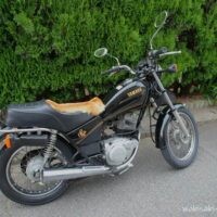 黒いバイク(YAMAHA SR125)のシート上に鹿の毛皮が置かれている。生垣のある路上で停車中の様子。異質な毛皮が目を引く1枚