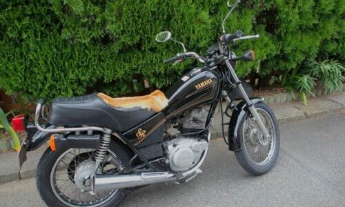 黒いバイク(YAMAHA SR125)のシート上に鹿の毛皮が置かれている。生垣のある路上で停車中の様子。異質な毛皮が目を引く1枚