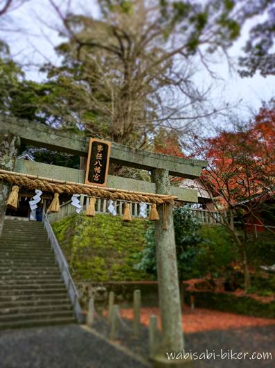 12月の事任八幡宮の鳥居と階段。右側に紅葉が残っている。
