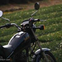 黒いバイク（YAMAHA SR125）の背景には冬の茶畑が広がり、小さな白い茶の花がまばらに残っている。