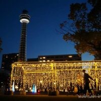 横浜マリンタワーを背景に、イルミネーションの光のトンネルの外側を歩く人物のシルエットを写したセルフスナップ。周囲に光の装飾と建物が見えるブルーアワーの夕景。