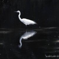 浅い川に立つシラサギを横から捉えた写真。黒い水面に白い体がくっきり映り込み、周囲には桜の花びらが点在して浮かんでいる。