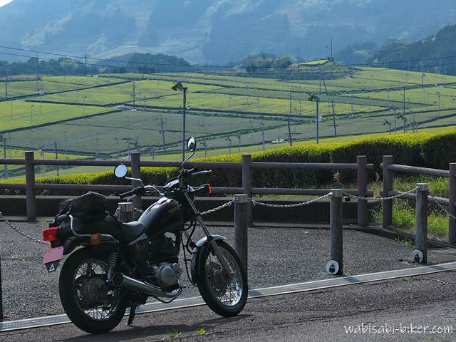 濃淡の異なる新芽が広がる春の茶畑を背景に、手前の道沿いに停めた黒いバイクSR125。生え始めの茶葉が畑ごとに色の差をつくり、パッチワークのようなグラデーションを描く季節限定の風景。柵越しに広がる茶畑の奥には山並みが重なっている。