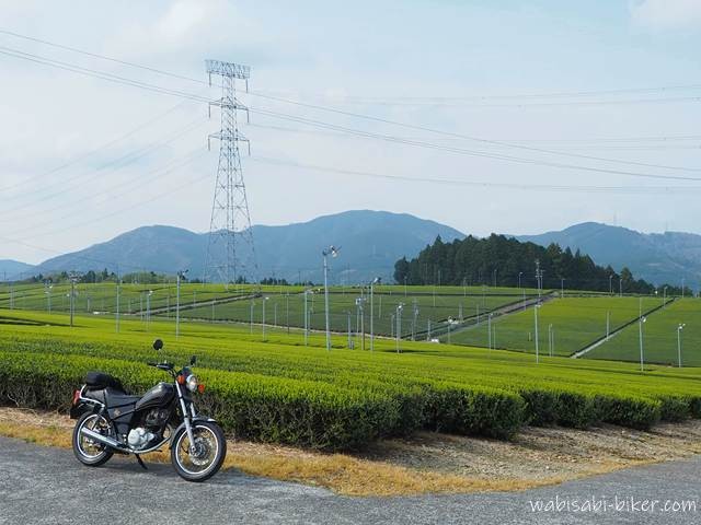 新芽が広がる茶畑の手前に停めた黒いバイクSR125と、奥に連なる山並みと鉄塔。これから茶畑を走る直前の一枚。