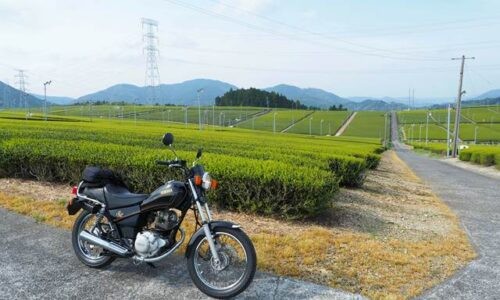 新芽が広がる茶畑の手前に停めた黒いバイクSR125と、右奥へまっすぐ伸びる農道。奥には山並みと鉄塔が重なる。