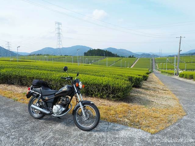 新芽が広がる茶畑の手前に停めた黒いバイクSR125と、右奥へまっすぐ伸びる農道。奥には山並みと鉄塔が重なる。