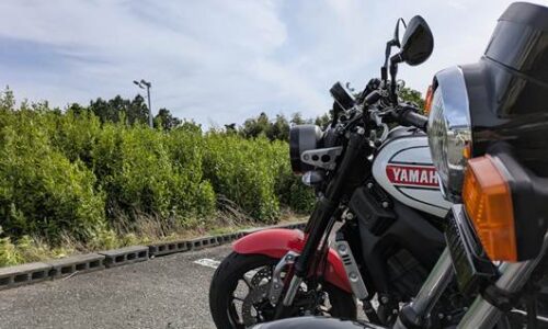 黒いバイクSR125と白と赤のXSR900がお茶の木が生える駐車場に並んで停車した写真。