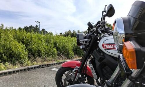 黒いバイクSR125と白と赤のXSR900がお茶の木が生える駐車場に並んで停車した写真。