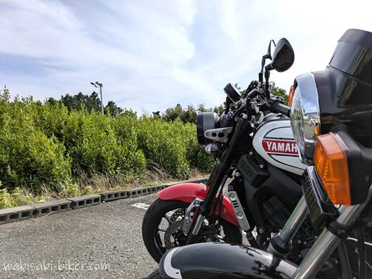 黒いバイクSR125と白と赤のXSR900がお茶の木が生える駐車場に並んで停車した写真。
