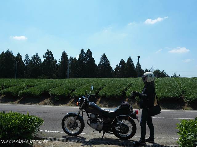 青空の下、茶畑の前に停めた黒いバイクSR125の横で、ヘルメットをかぶった人物が立つセルフスナップ。道路と茶畑の横ラインが広がる初夏の風景。
