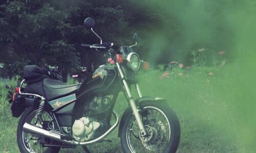 コスモスの葉を前景にぼかして重ね、緑の煙のような層越しに黒いバイクSR125とまばらなコスモスを写した一枚。