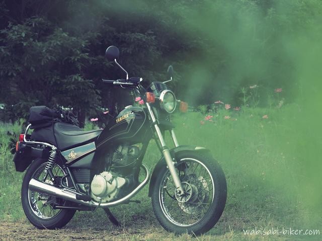 コスモスの葉を前景にぼかして重ね、緑の煙のような層越しに黒いバイクSR125とまばらなコスモスを写した一枚。