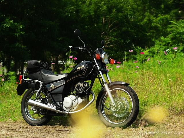まばらな6月のコスモスを背景に、黒いバイクSR125を全体で写し、手前にぼけた黄色い草花が入った一枚。