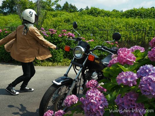 紫陽花越しに黒いバイクSR125の横で人物がくるっと回るセルフスナップ。ベージュのジャケットが広がり、動きのある全身コーデと初夏の風景が写る。