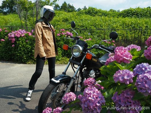 ヘルメットをかぶった人物のセルフスナップ。黒いバイクSR125の横に立ち、ベージュのジャケットと黒パンツを合わせた服装。手前と奥にピンクと紫の紫陽花が咲く初夏の風景。