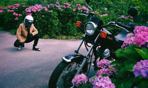 紫陽花に囲まれた小道で、黒いバイクSR125が斜め前に停められている。手前と奥にピンクの紫陽花が広がり、曇りがかった光の中、ベージュのジャケットを着たライダーが少し離れた位置でしゃがみ、バイクを見ているセルフスナップ。