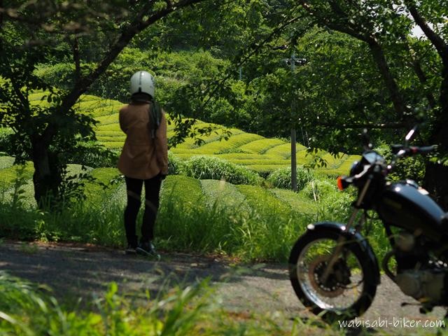 木陰に立つバイク乗りが、奥に広がる6月の茶畑を眺め、右手前に黒いSR125が入るセルフスナップ。