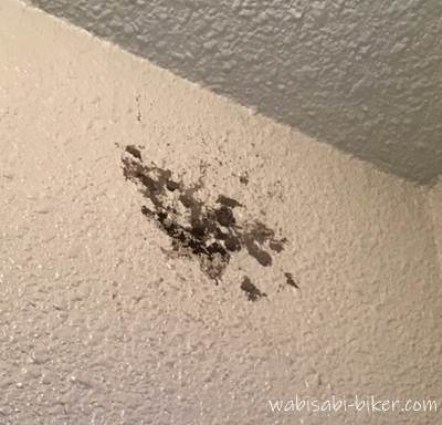 ツバメが巣を作ろうとしたマンション玄関の壁。前日に付いた乾いた泥の上へ、翌日に運ばれた新しい泥が重ねられている。