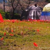 無人駅の芸術祭2021の屋外アート。あかいささふねとOPPAI。