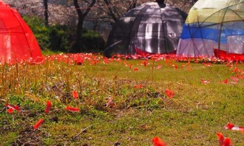 無人駅の芸術祭2021の屋外アート。あかいささふねとOPPAI。