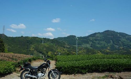 5月の青空と茶畑を背景に停めた黒バイクSR125