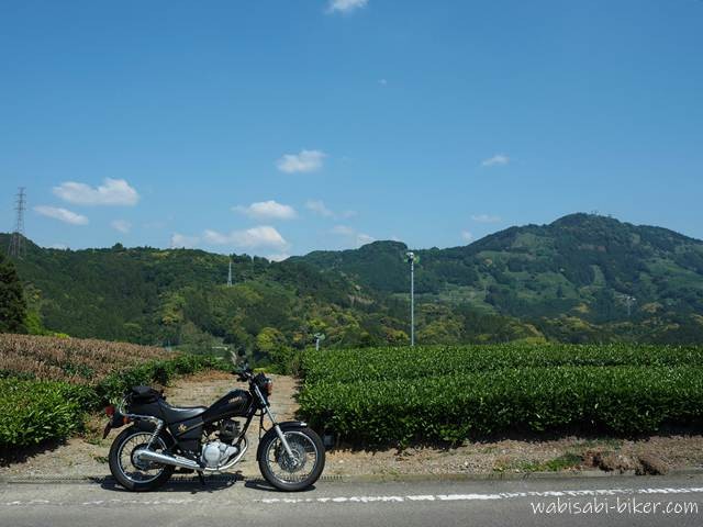 5月の青空と茶畑を背景に停めた黒バイクSR125