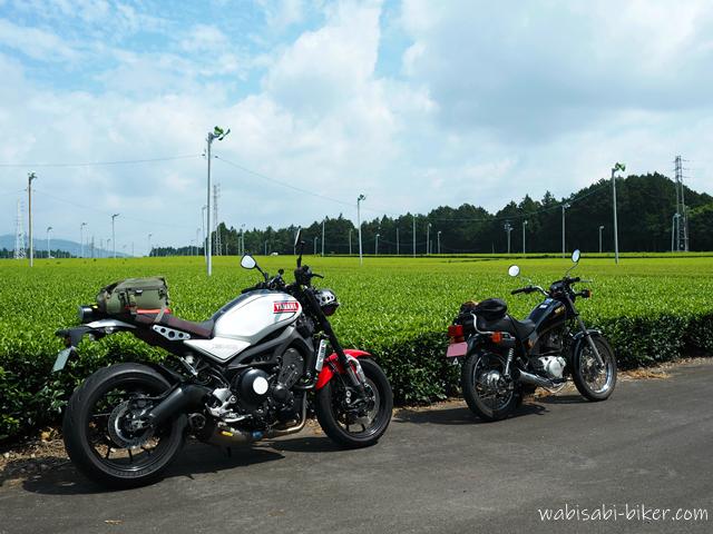7月の茶畑と夏空を背景に、道路脇に並べて停めた2台のバイク。左に白と赤のXSR900、右に黒のSR125が配置され、夫婦ツーリングの一場面を切り取った写真。鮮やかな緑の茶畑と広がる空が季節感を引き立てている。